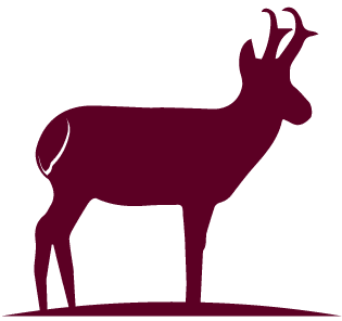 antelope-icon