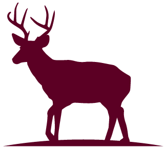 whitetail-icon