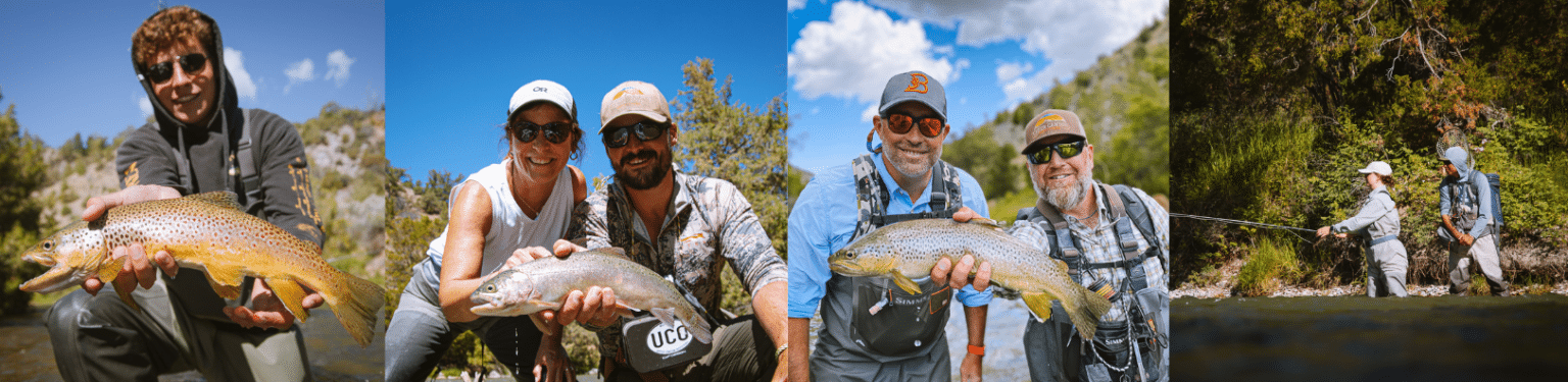 Untitled-design-1536x375