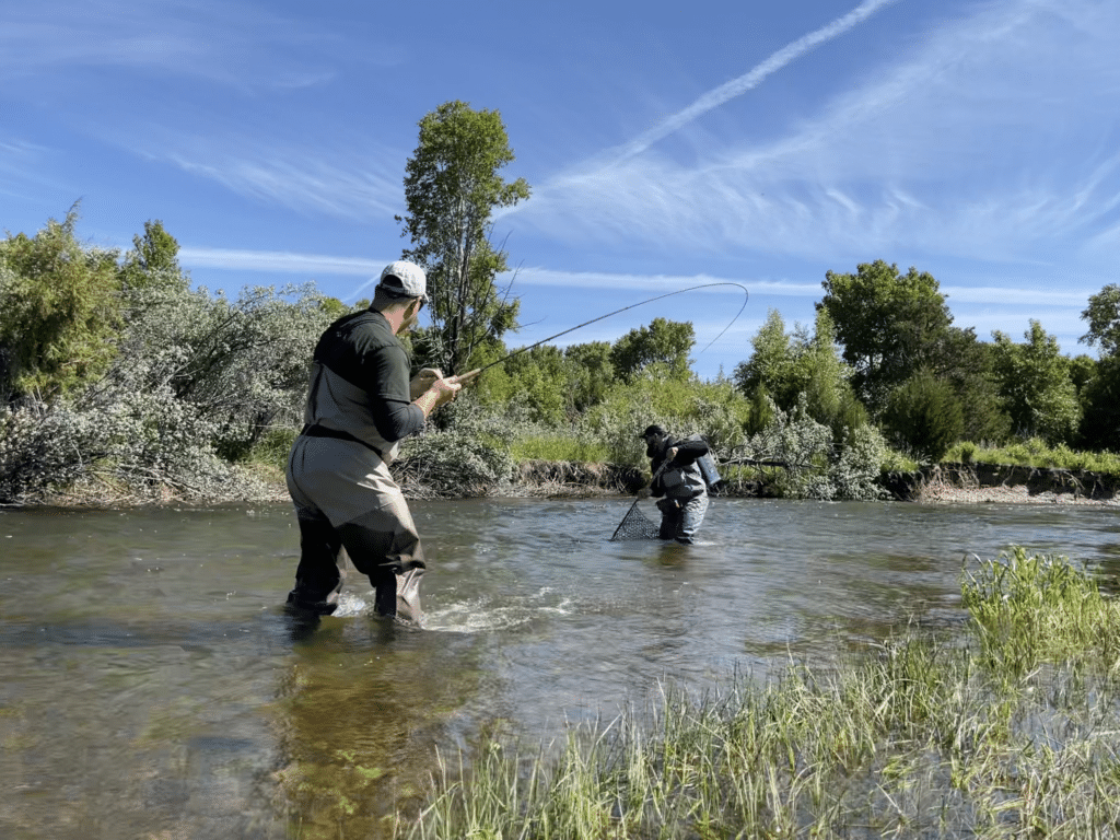 FullSizeRender 2_result