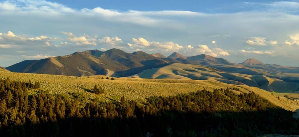 Montana landscape