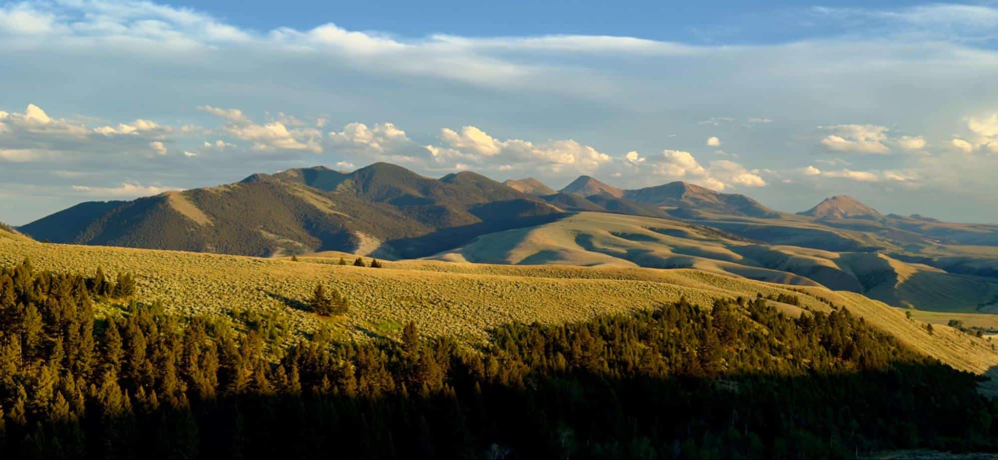 Montana landscape