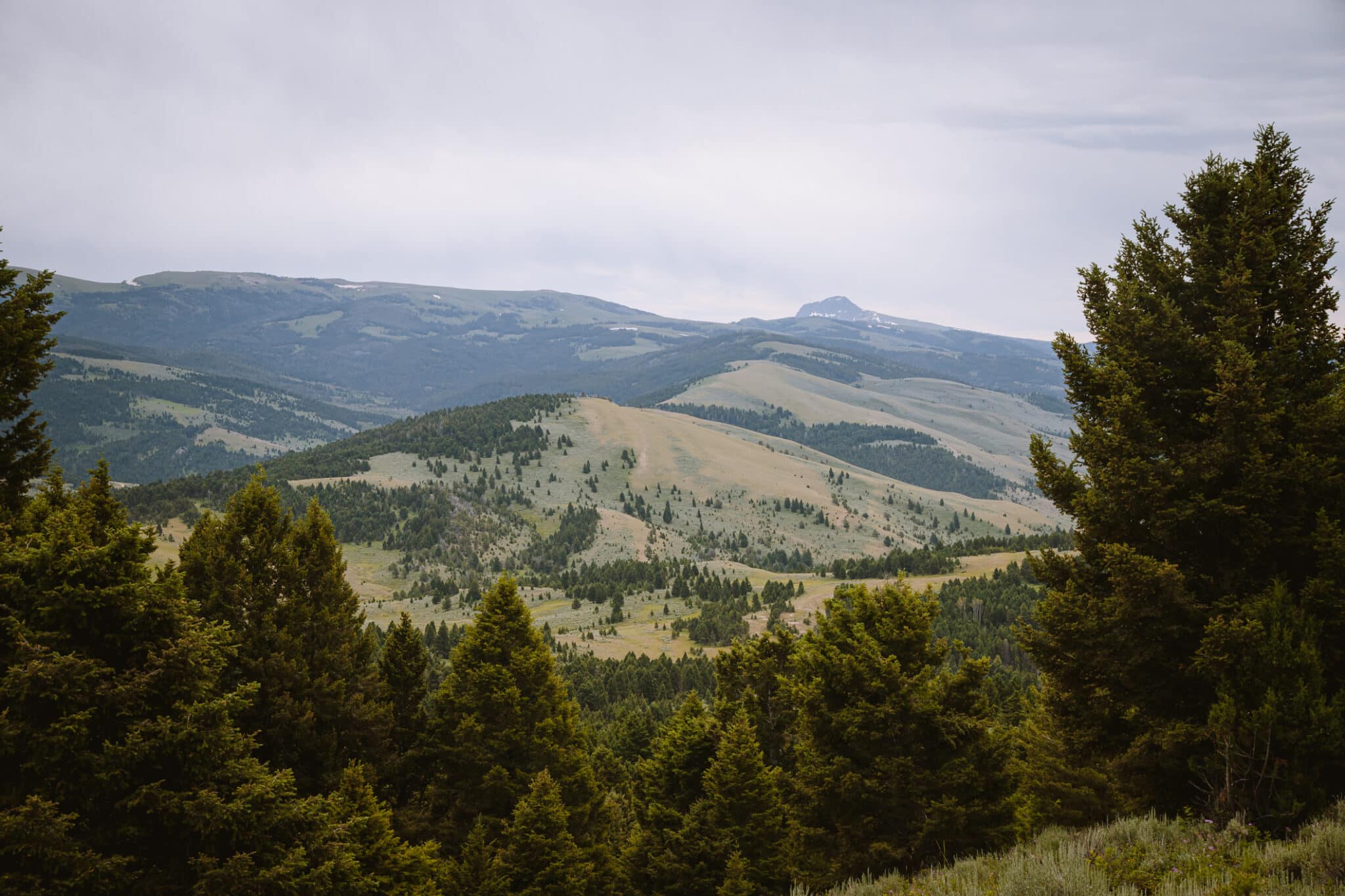 Explore Montana's natural beauty at Upper Canyon Outfitters where you will see expansive views like this one.