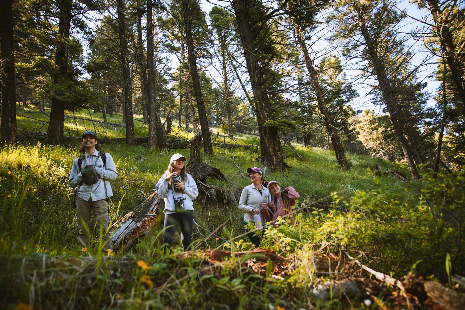 A guided hike from Upper Canyon Outfitters in Montana's natural beauty.