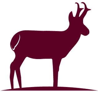 Antelope